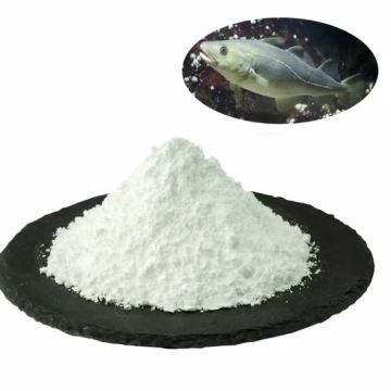 Health Supplements Hydrolyzed Raw Material Fish Collagen Peptide Powder